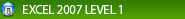 Excel 2007 Level 1