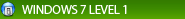 Windows 7 Level 1